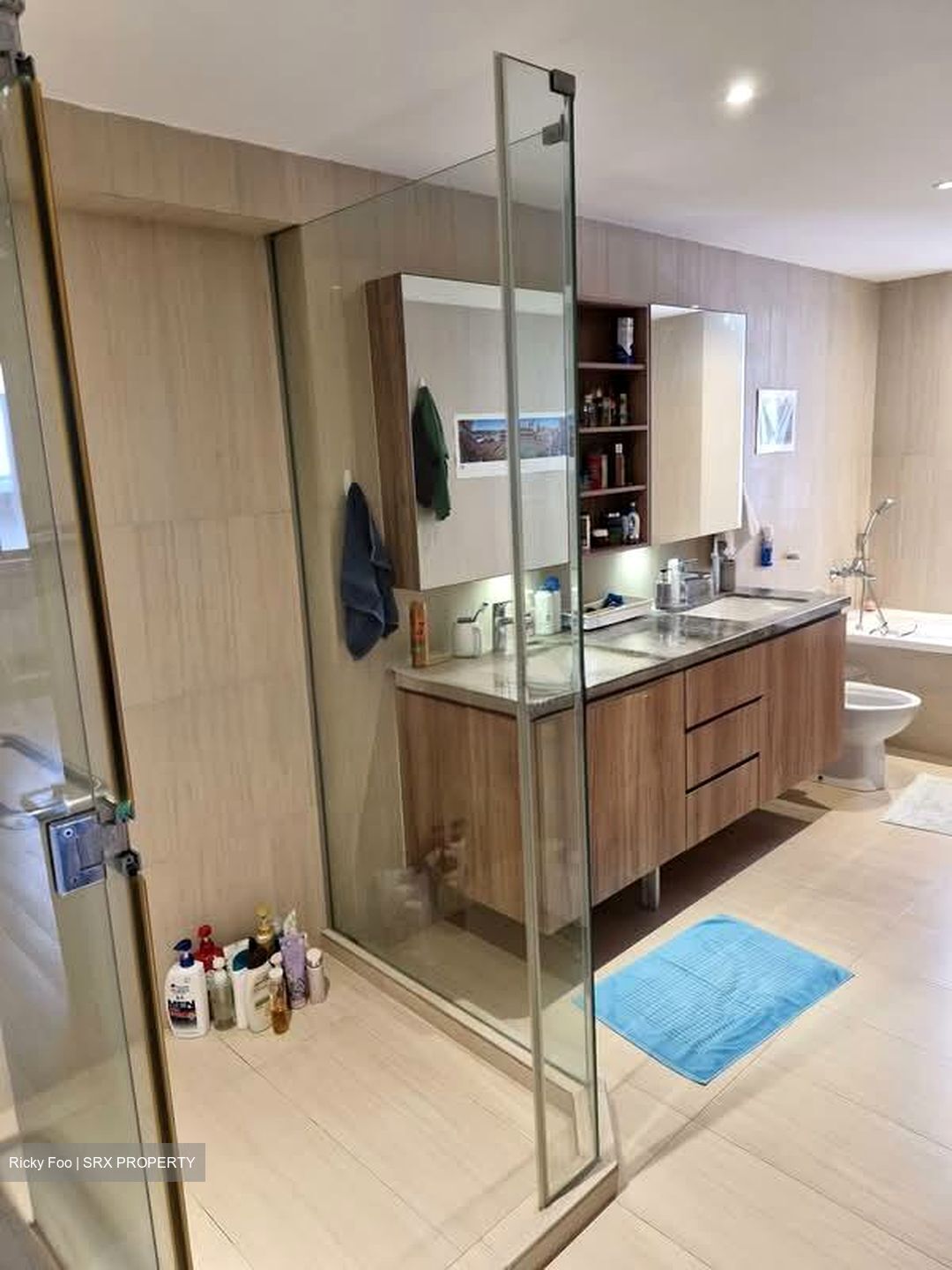 Beverly Hill (D10), Condominium #577259021